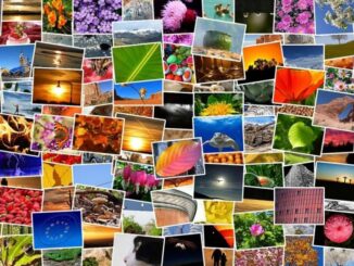 Make a Mosaic to Use on Instagram with Photoshop