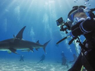 Caixas submersíveis para GoPro: modelos, recursos e preços