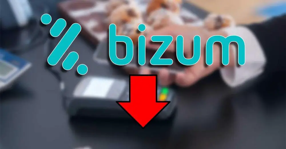 Bizum Transaction Limit