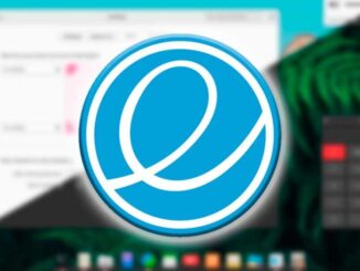 Elementary OS 6 Beta