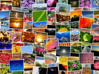 Cut, Rotate and Resize an Image in Paint.NET