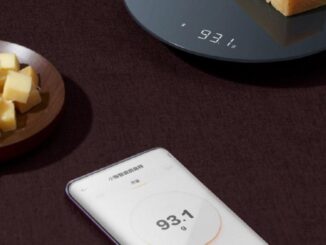 Precision Kitchen Scale: the Best