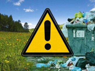 Files You Should Never Delete When Freeing up Space in Windows