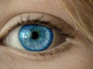 See the Preview of SVG Files in Windows Explorer