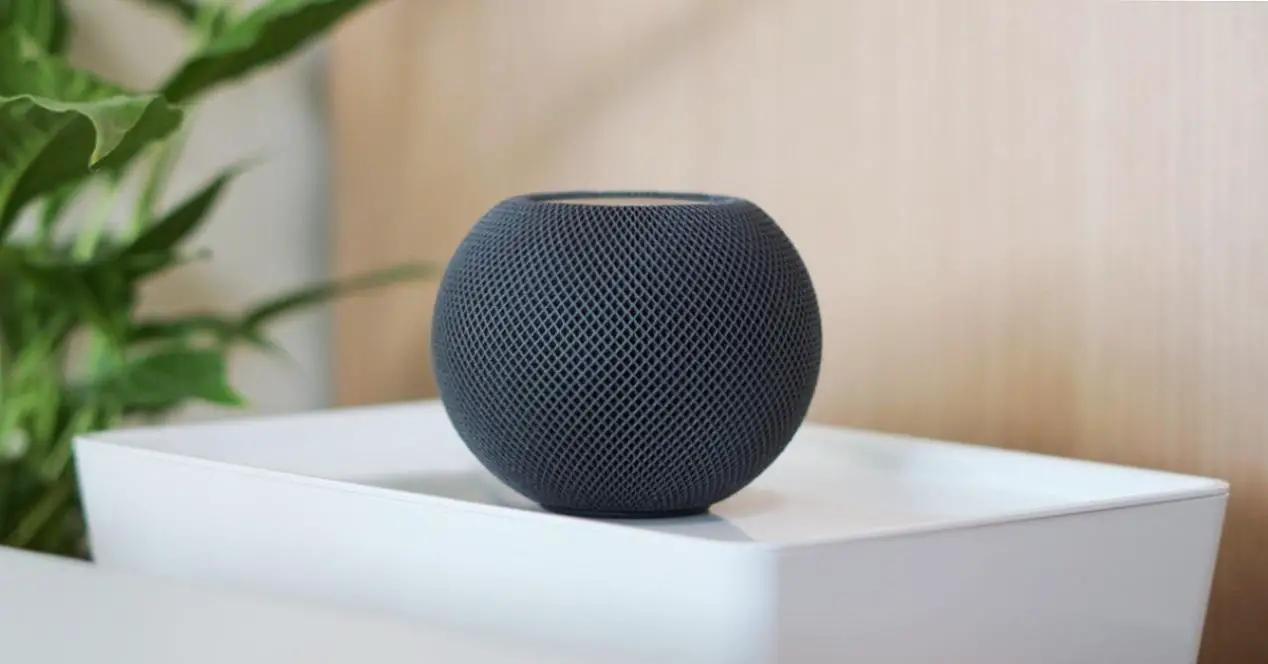 Apple Music LossLess