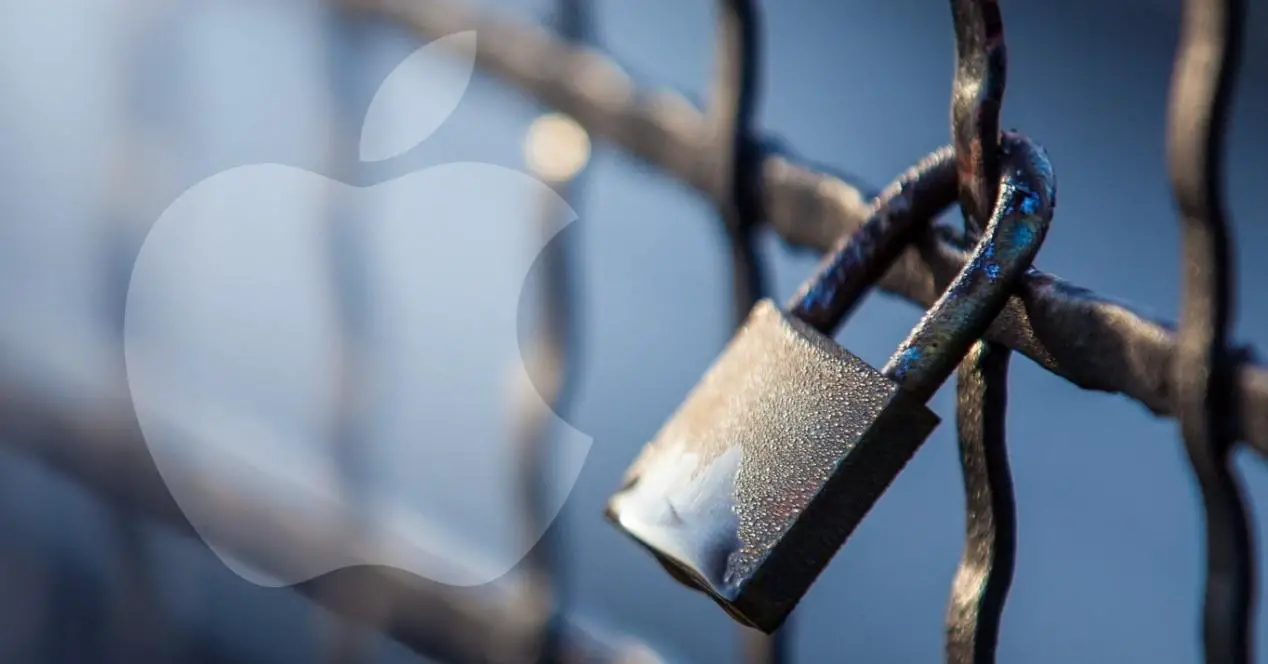 Personal Data Accessed by Apps on iPhone