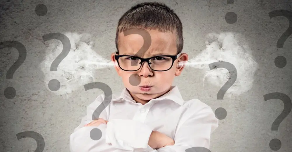 Unlimited Call and Data Rates, Main Problems and Disadvantages