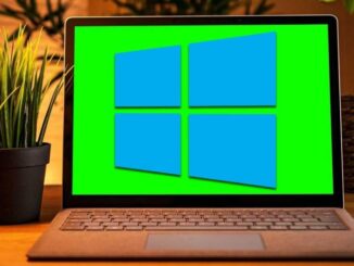 Brightness Control Not Working in Windows 10