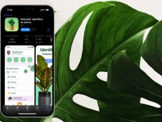 Best iPhone Apps to Care for Plants at Home