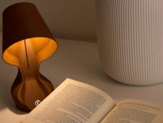 3D Printed Lamp Made with Orange Skins
