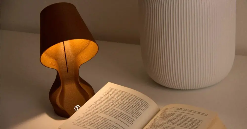 3D Printed Lamp Made with Orange Skins