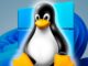 Distribuții Linux care au imitat aspectul Windows 11