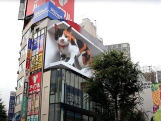 3D कैट विज्ञापन जो 4K स्क्रीन के साथ टोक्यो में आश्चर्यचकित करता है