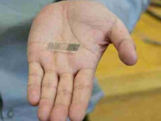 Scientists Create Patches to Heal Broken Bones in a Few Weeks