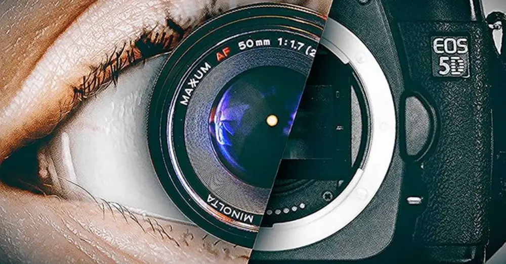 System that Processes Images Like the Brain