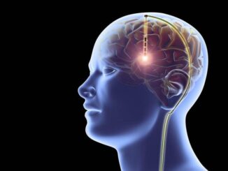 People with Paralysis Will Be Able to Speak Again with This Brain Implant