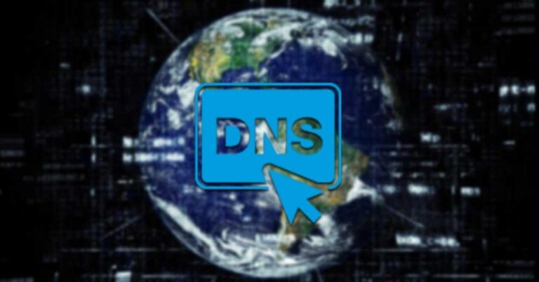 Dns какое юр лицо