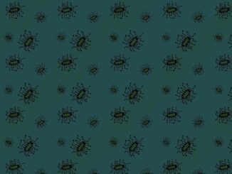 Tracking Pixel via Email, a Technique to Steal Data