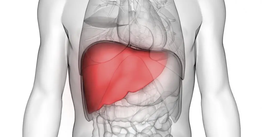 3D Device Stabilizes People with Liver Disease