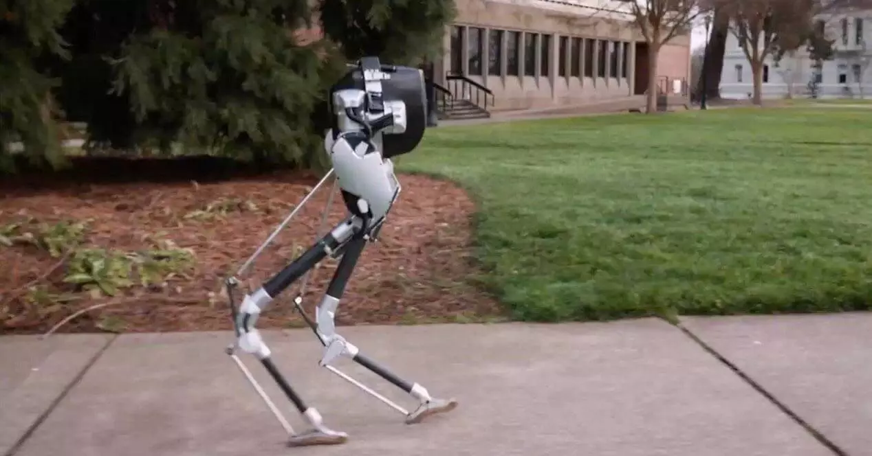 Cassie, the Robot Capable of Running