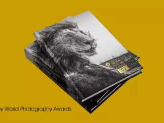 Download the Free Sony World Photography Awards 2021 Book