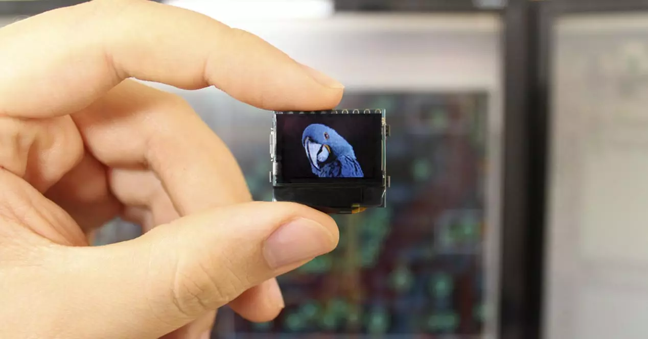 This Coin-sized Mini Computer Even Has a Screen