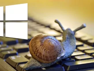 Why does Windows take so long to start up