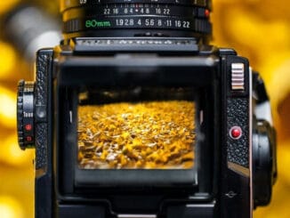 Cameras For Landscape Pictures