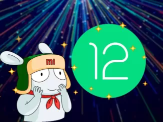 Xiaomi's chosen ones who will have Android 12