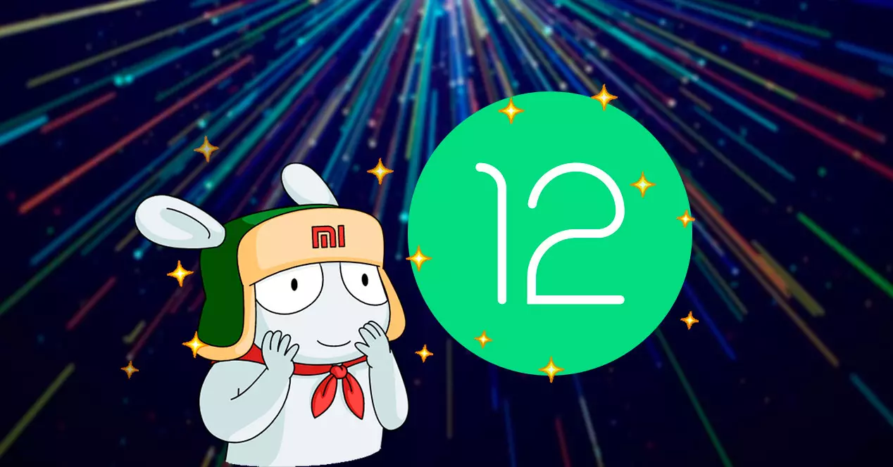 Xiaomi's chosen ones who will have Android 12
