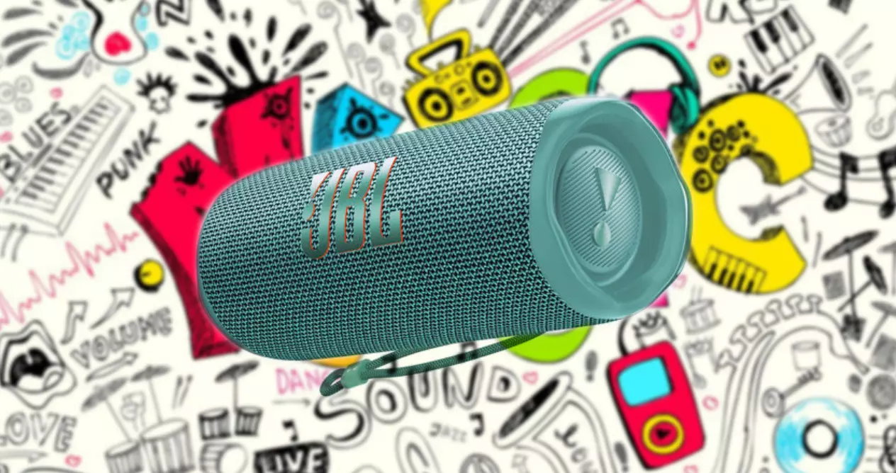 Портативная колонка JBL Flip 6