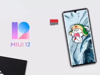 fix the problems with the MicroSD in MIUI 12