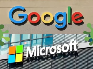 Die anfälligsten Microsoft- und Google-Produkte