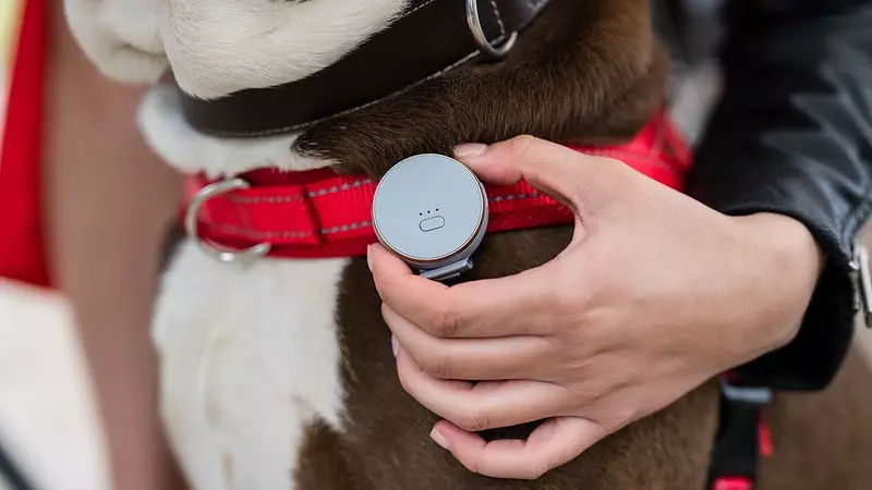 nouveau GPS intelligent pour animaux de compagnie de Vodafone