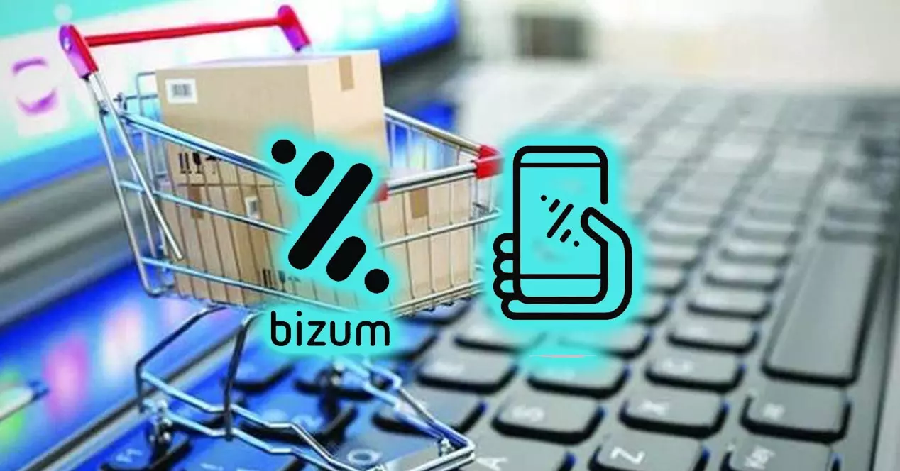 In which stores can I pay with Bizum