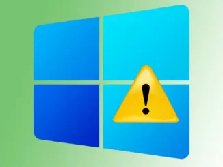 Fejl ved indtastning af netværksoplysninger i Windows