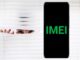Can the government spy on my mobile IMEI