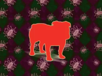 BullGuard Internet Security