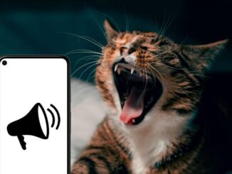 prevent your mobile from ringing while you sleep