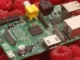 the most popular Raspberry Pi alternatives