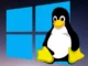 WSL2: Linux installeren op Windows 10 en 11