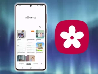 organize the image gallery on Samsung mobiles