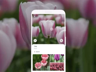 identify any object with the mobile camera