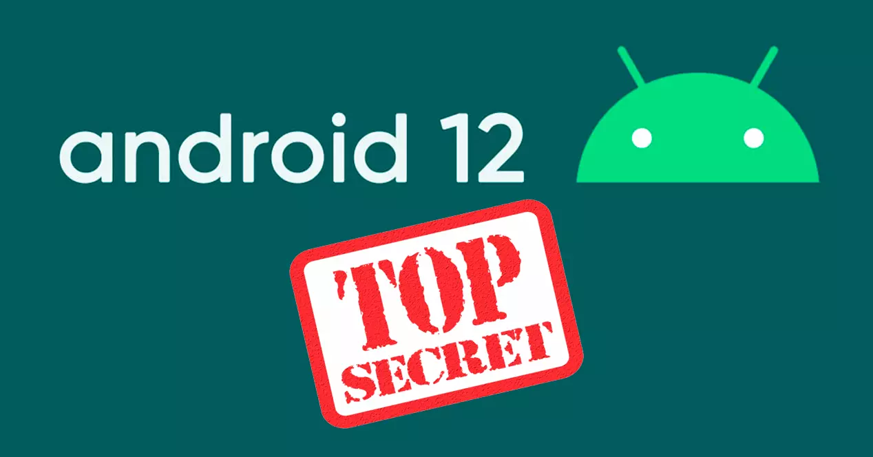 geheim achter Android 12