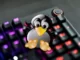 käytä Razer-näppäimistöä ja hiirtä Linuxissa
