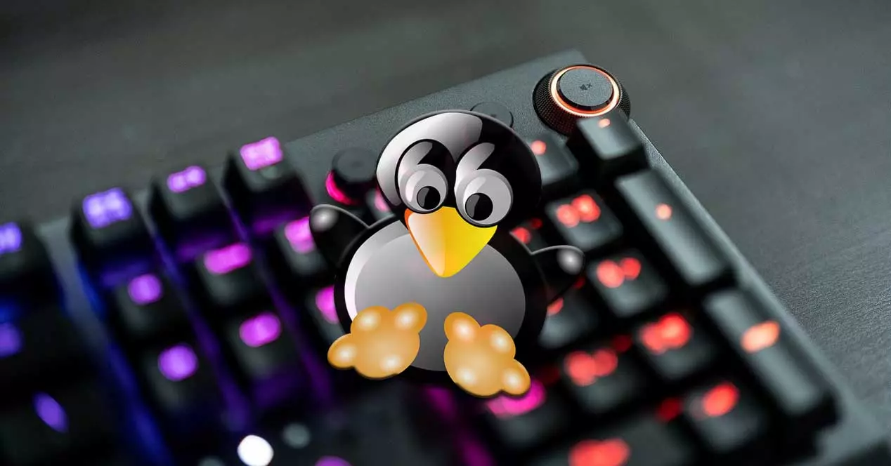 Verwenden Sie Ihre Razer-Tastatur und -Maus unter Linux