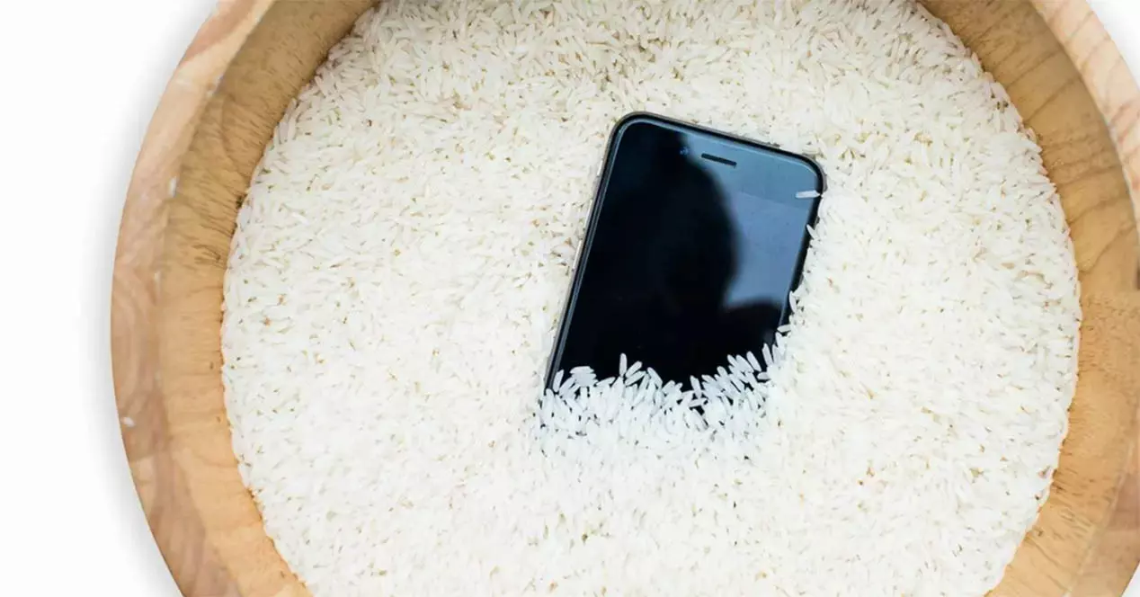 Mokrý mobil: je dobré používat k sušení rýži