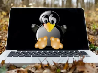 Warum Linux-Repositorys aktualisieren, bevor Sie Software installieren?