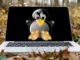 Waarom Linux-repository's bijwerken voordat u software installeert?