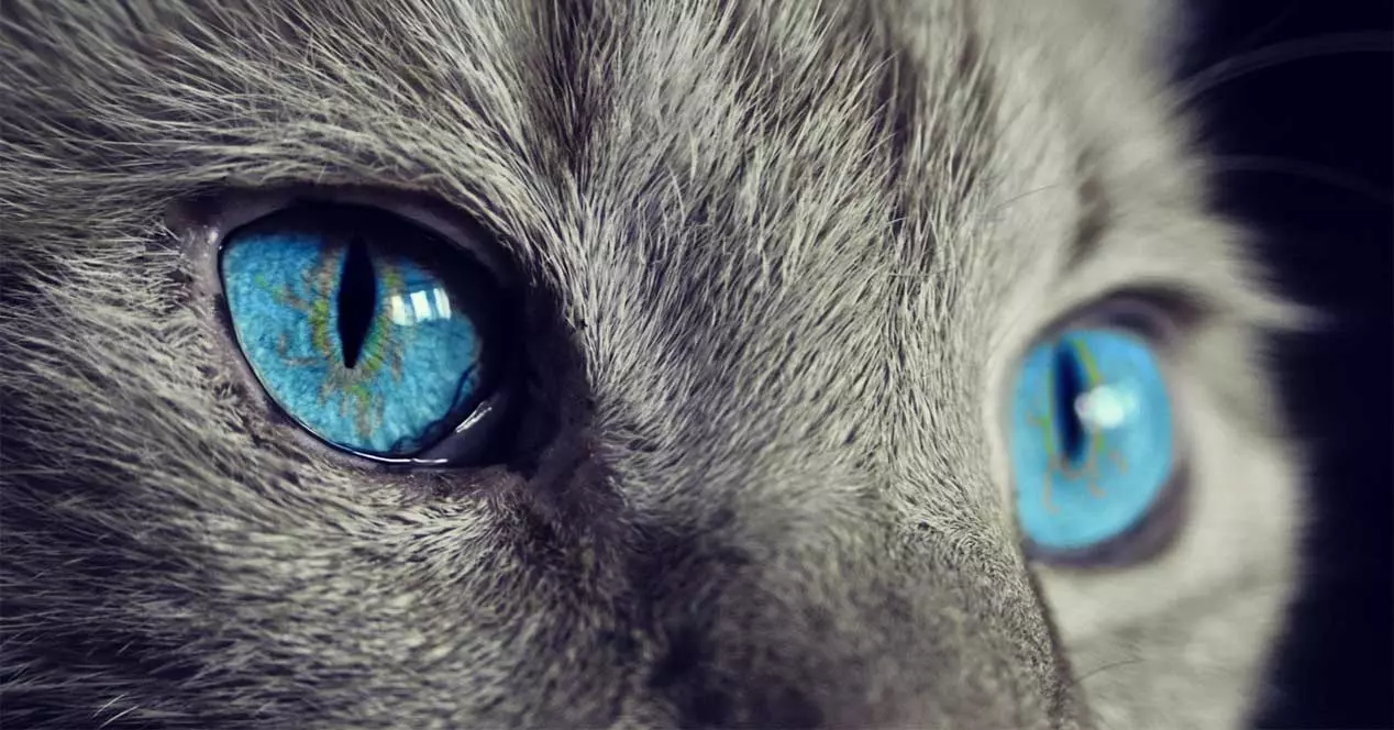 Photoshop's interface hurt your eyes